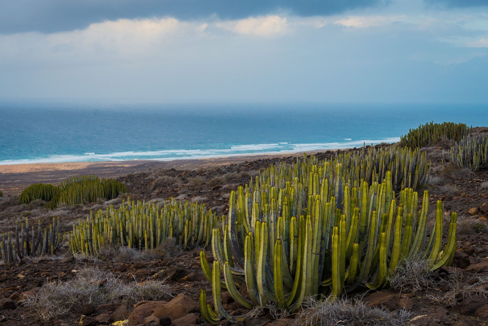Discover Arikok National Park Together