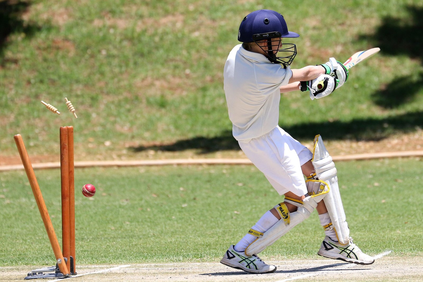 Attend a Cricket Match at Kensington Oval