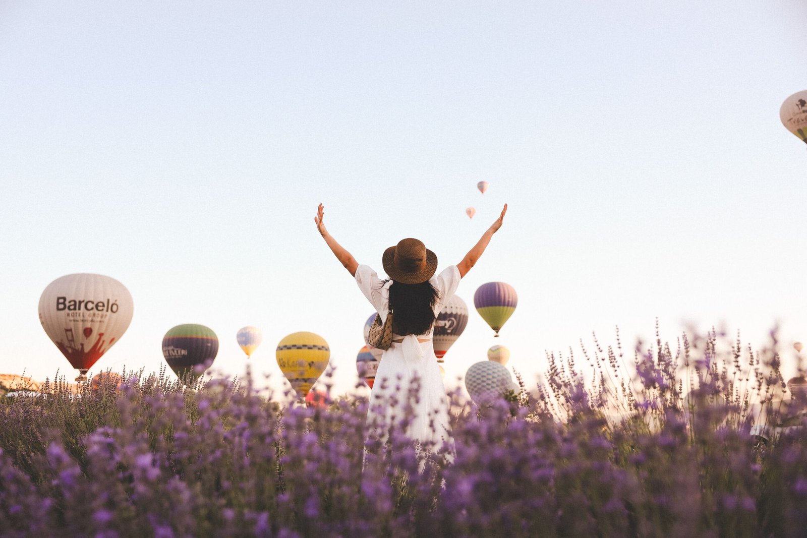 Attend the Lavender Festival in July