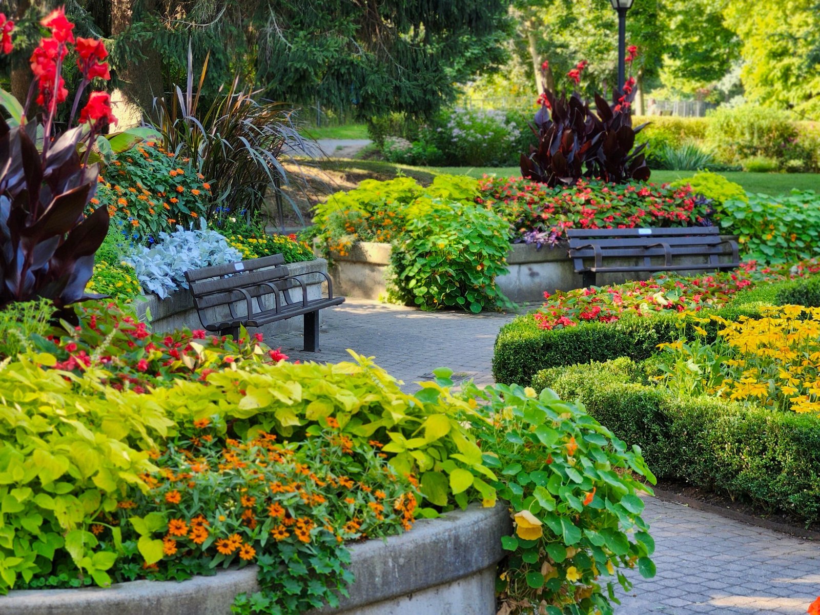 Walk Through the Beautiful Gardens at the Flower Memorial Library
