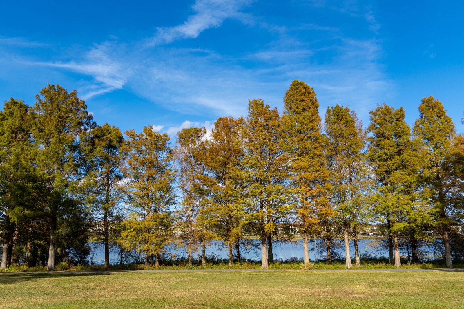 Take a Stroll through Bakersfield City Parks