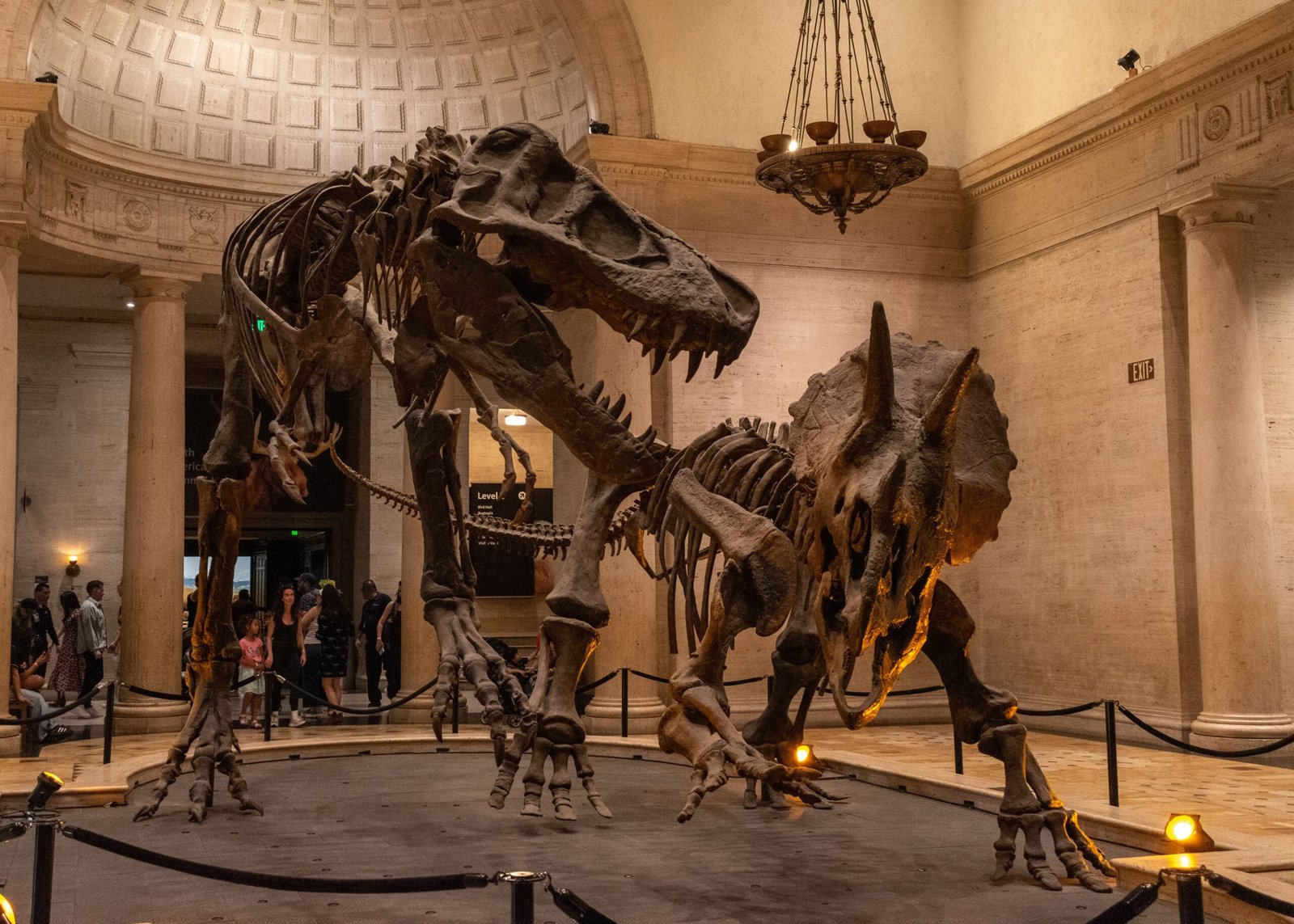 Explore the California Living Museum (CALM)