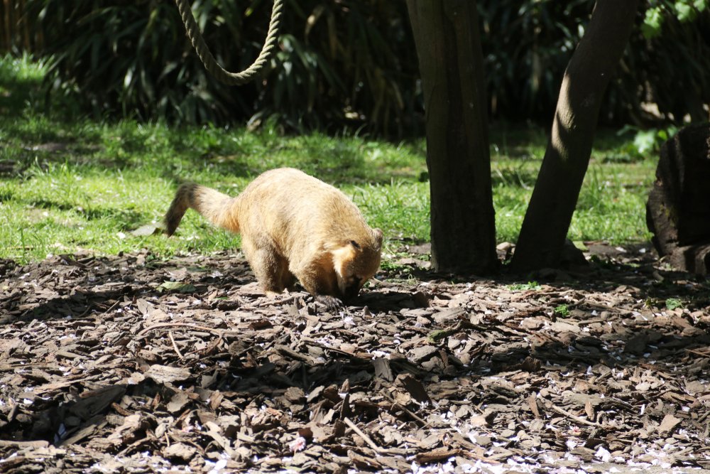 Enjoy nature at Audubon Acres