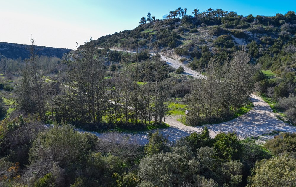 Hike through the Lush Landscapes of the Andromeda Botanic Gardens