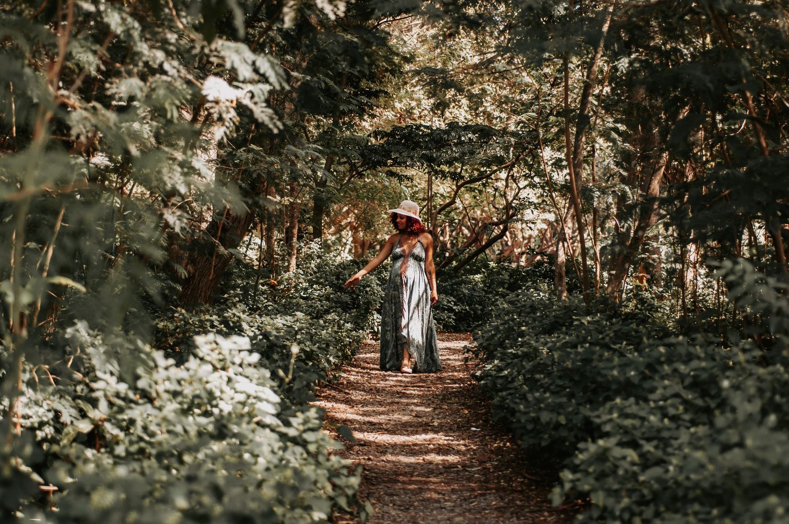Discover the beauty of the Miami Beach Botanical Garden