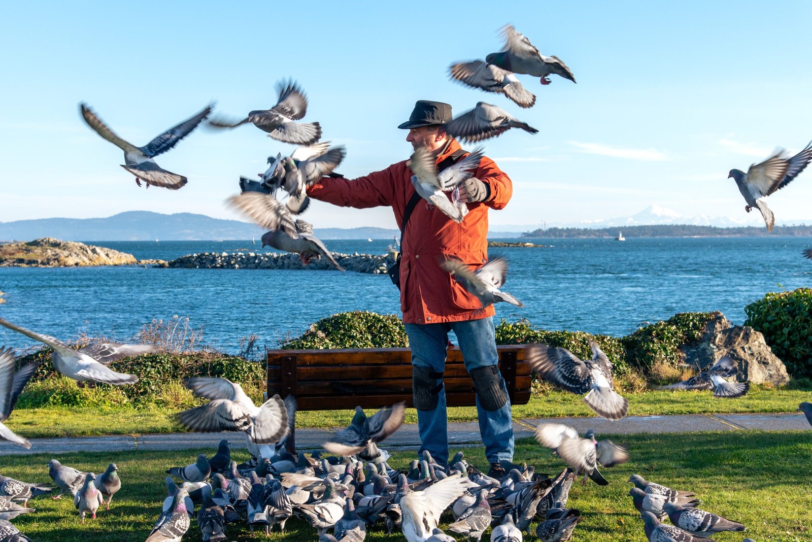 Enjoy a Day at the Bird Island Park