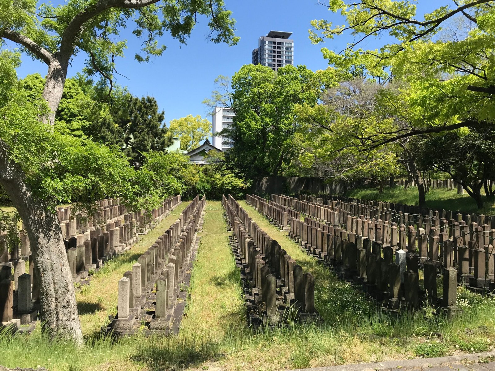 Explore the Ancient Zoshigaya Cemetery