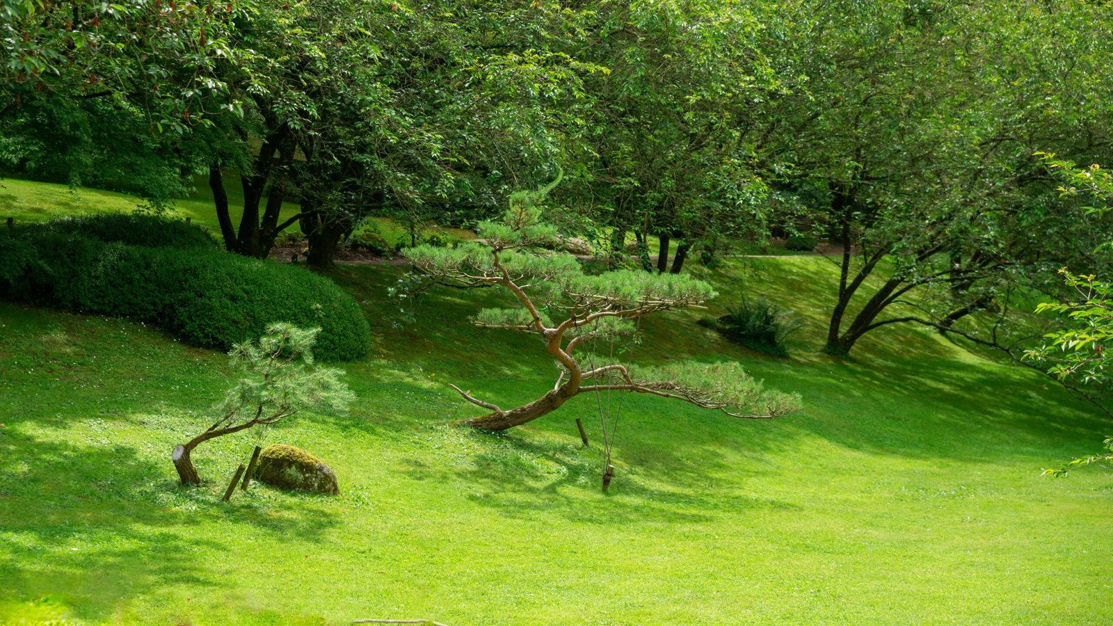 Explore the Dawes Arboretum