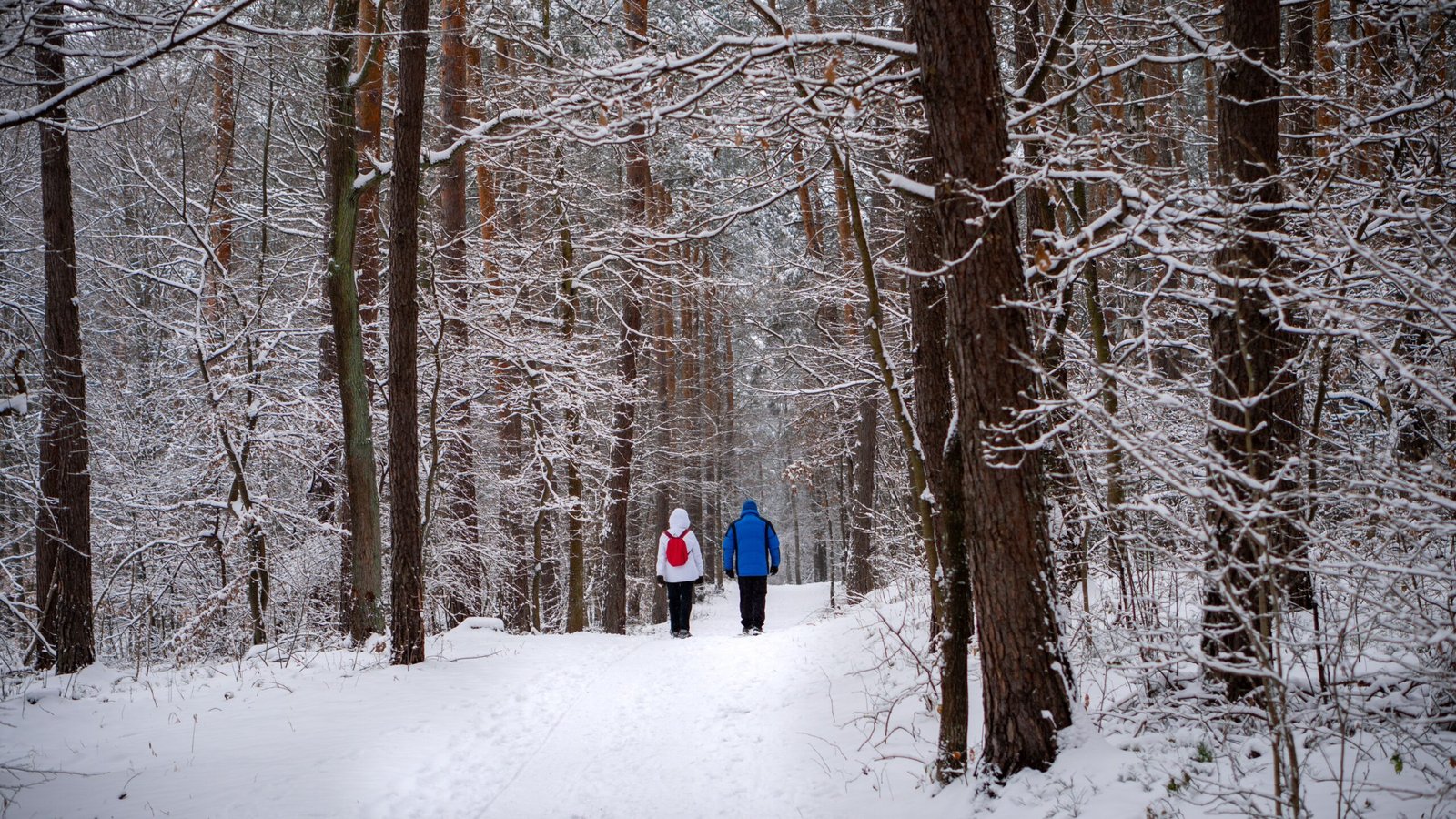 Explore the Minocqua Winter Park
