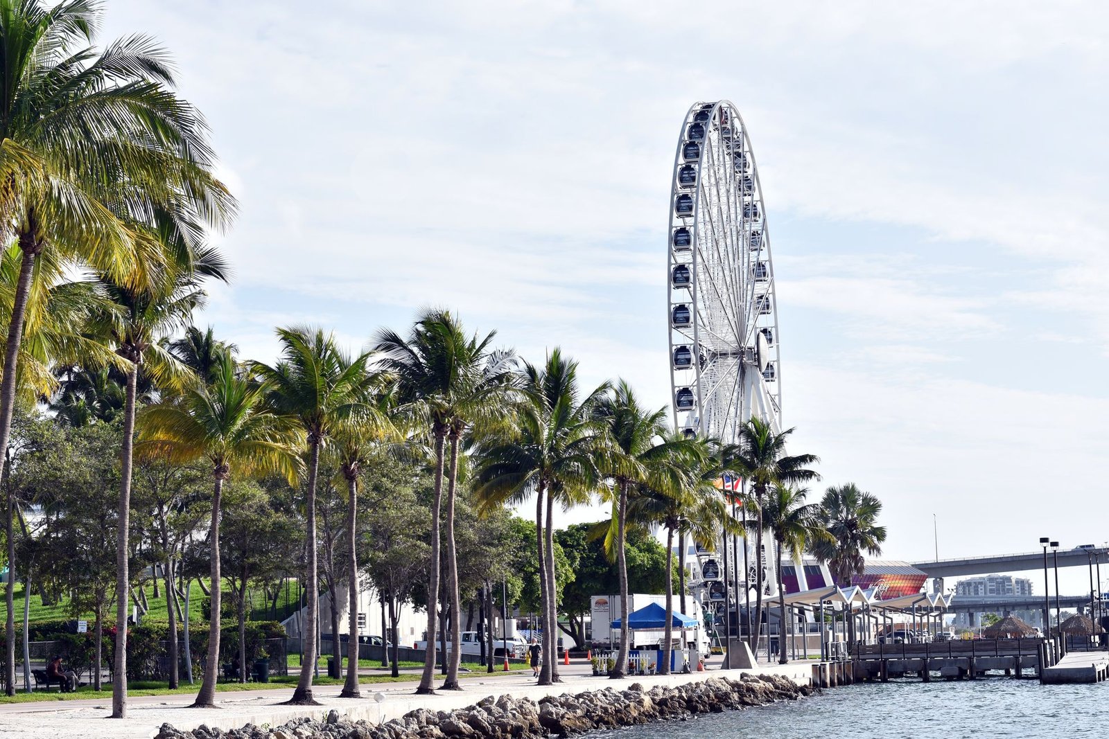 Explore the lush greenery of Bayfront Park