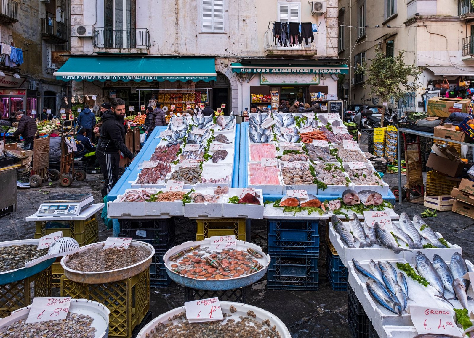 Enjoy Fresh Seafood at the Mercato del Pesce