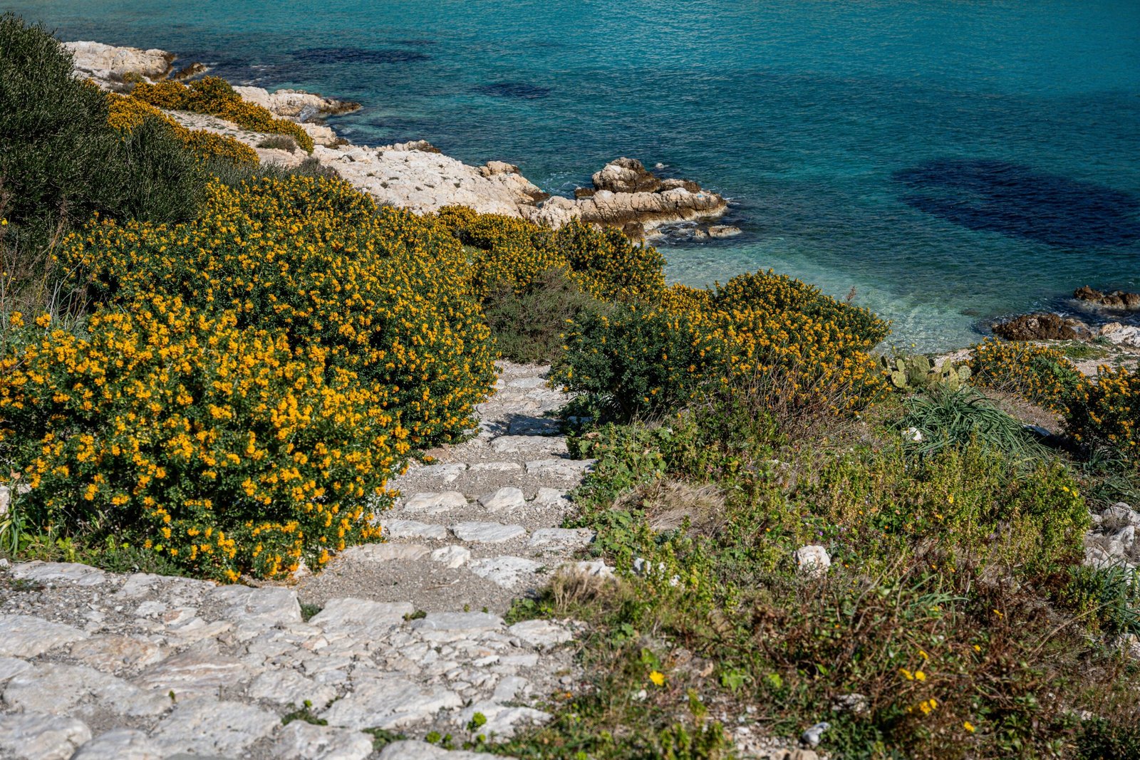 Go Hiking Along the Mediterranean Steps