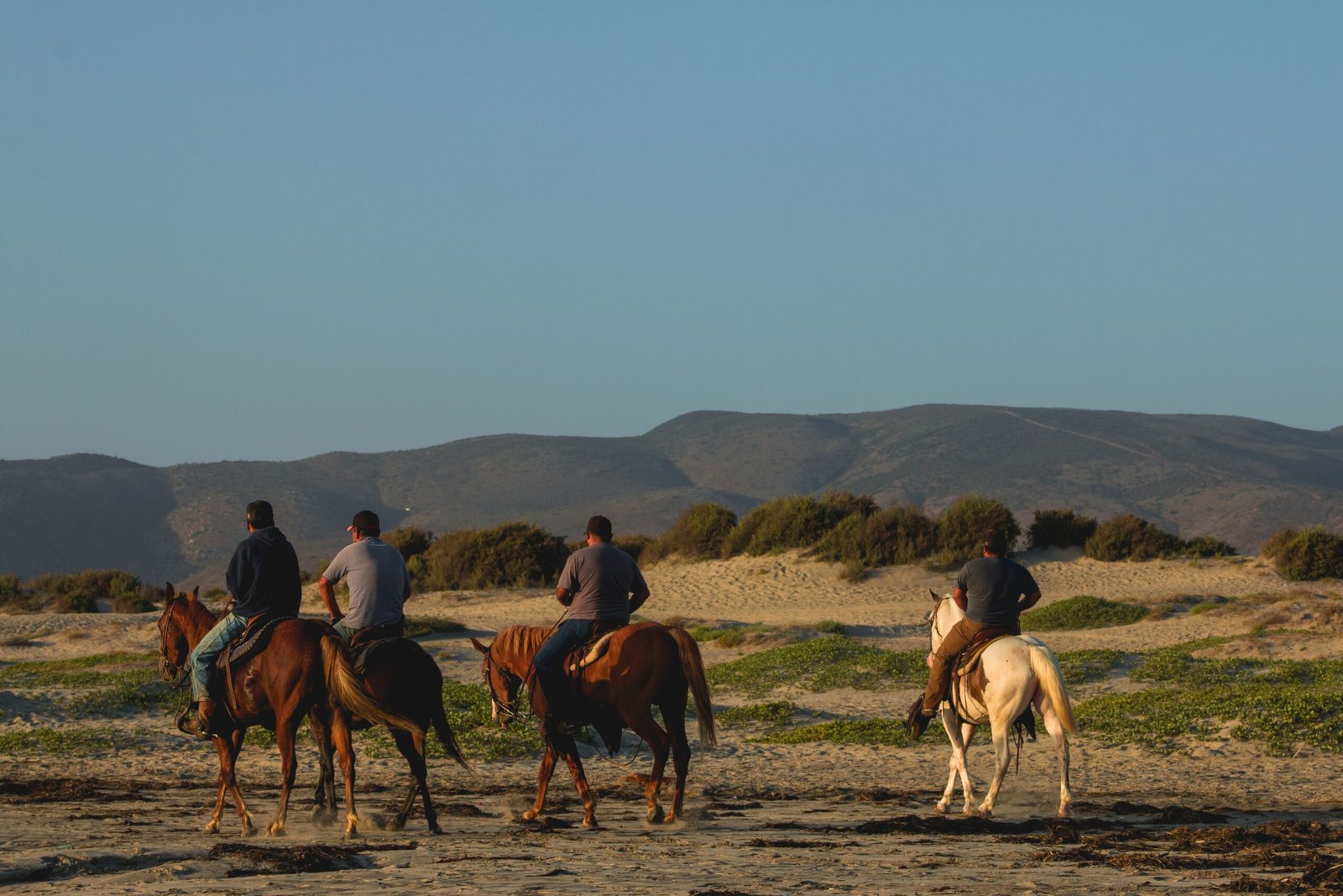 Go Horseback Riding at Local Stables Near Catskill