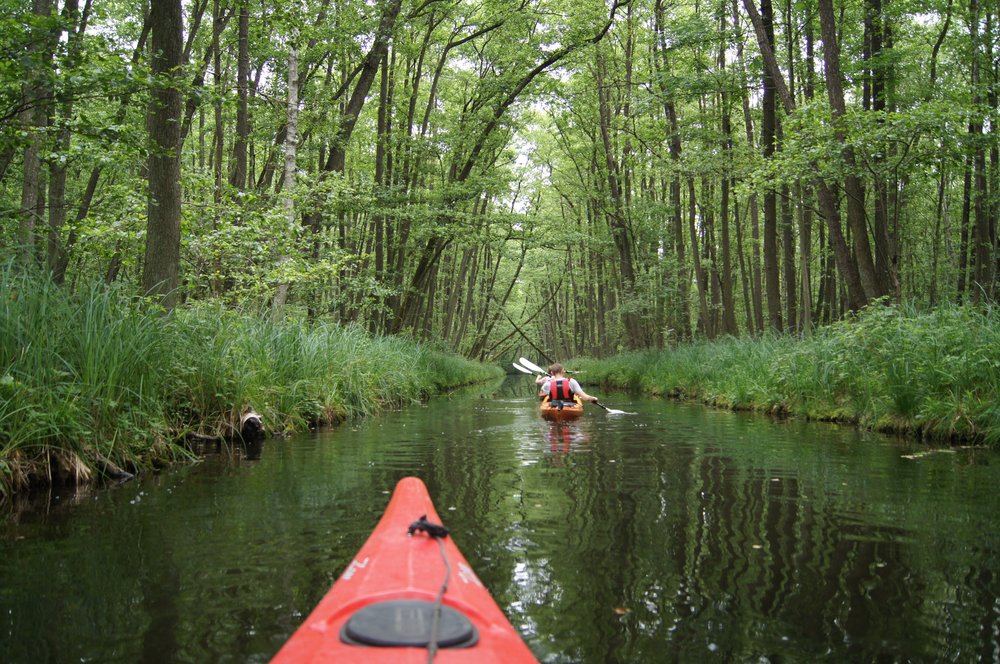 Kayak or Paddleboard on the Calm Waters of the River