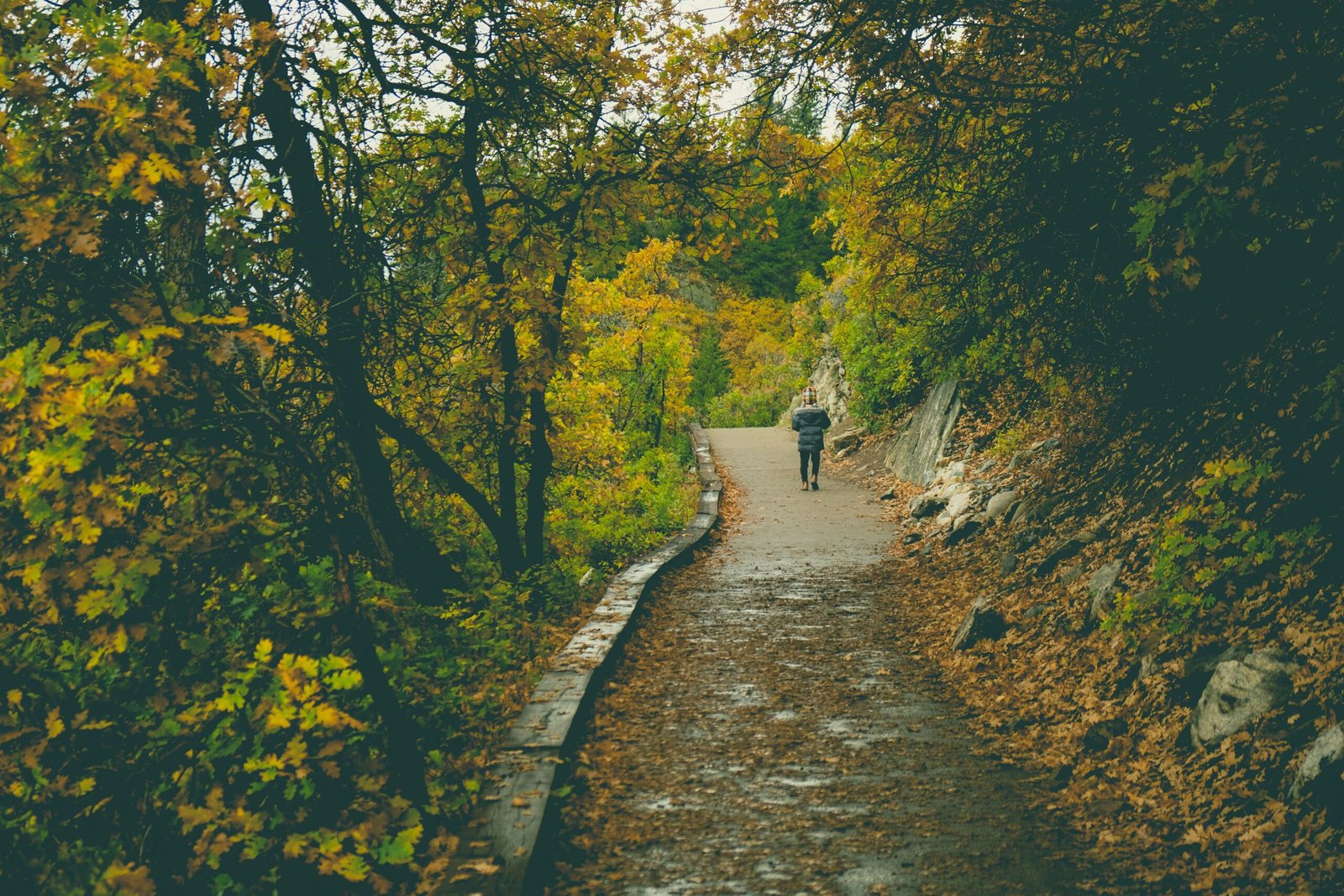 Take a Leisurely Stroll Along the Historic Gold Mine Trail