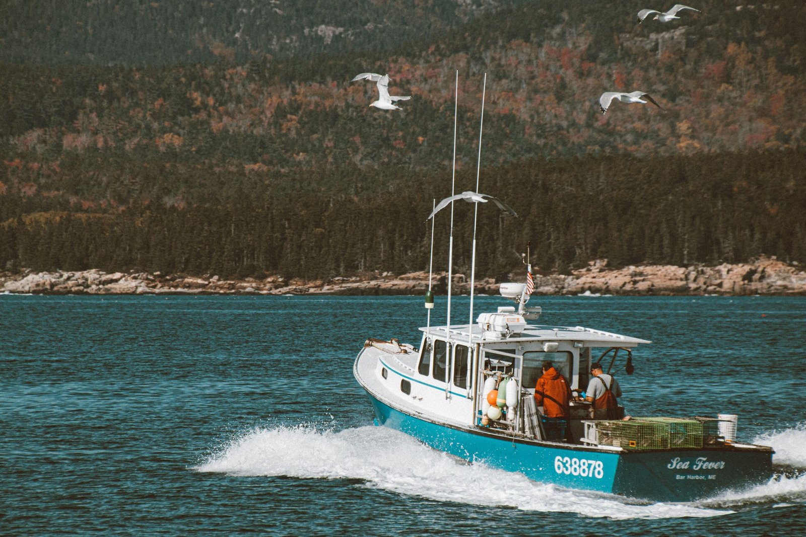Take a Boat Trip to the Nearby Pakleni Islands