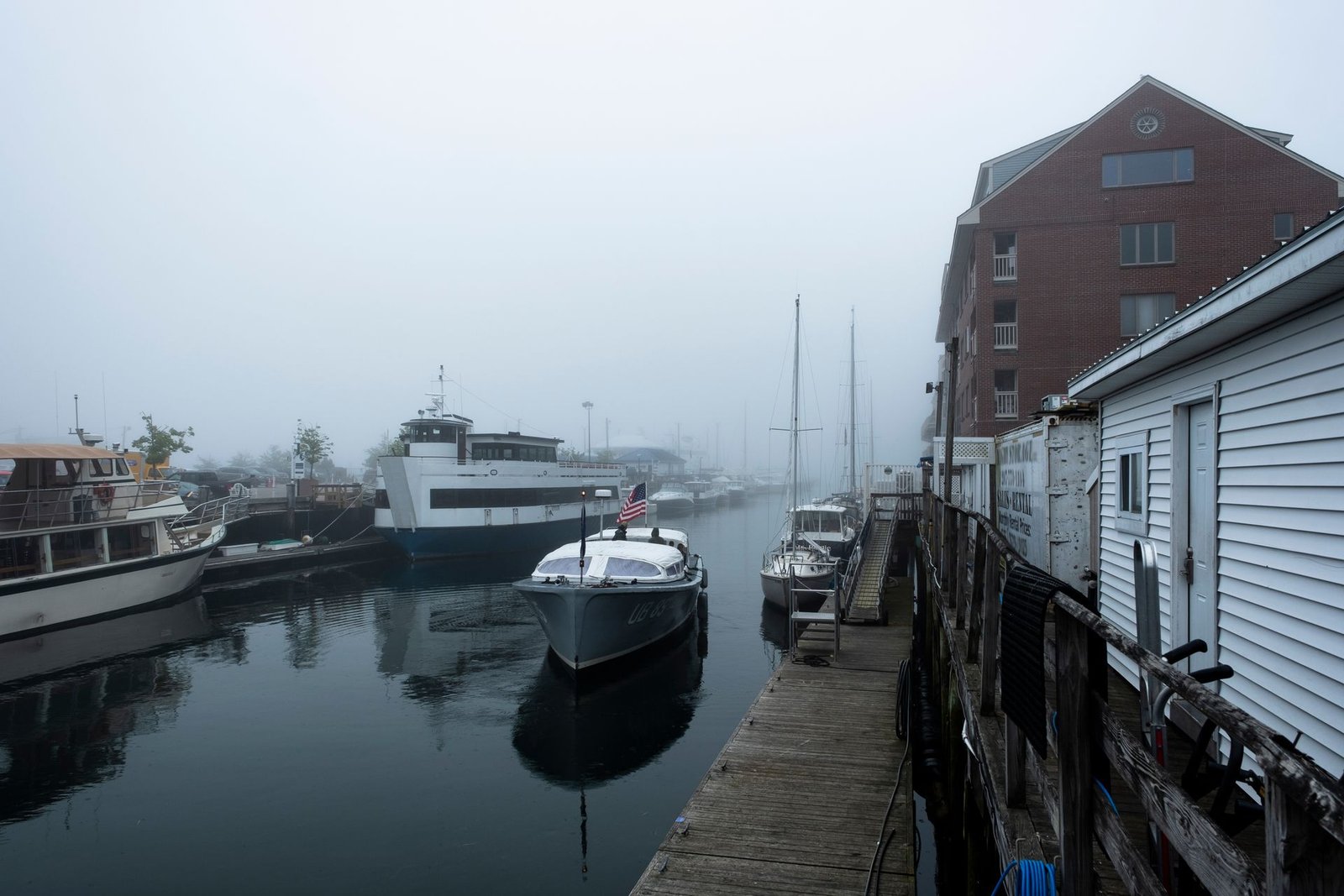 Discover Marine Life at the York Harbor Marine Museum