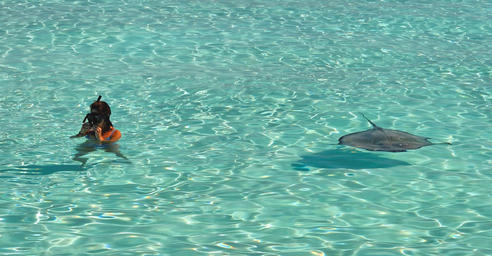 Discover the Marine Sanctuary at Coki Beach