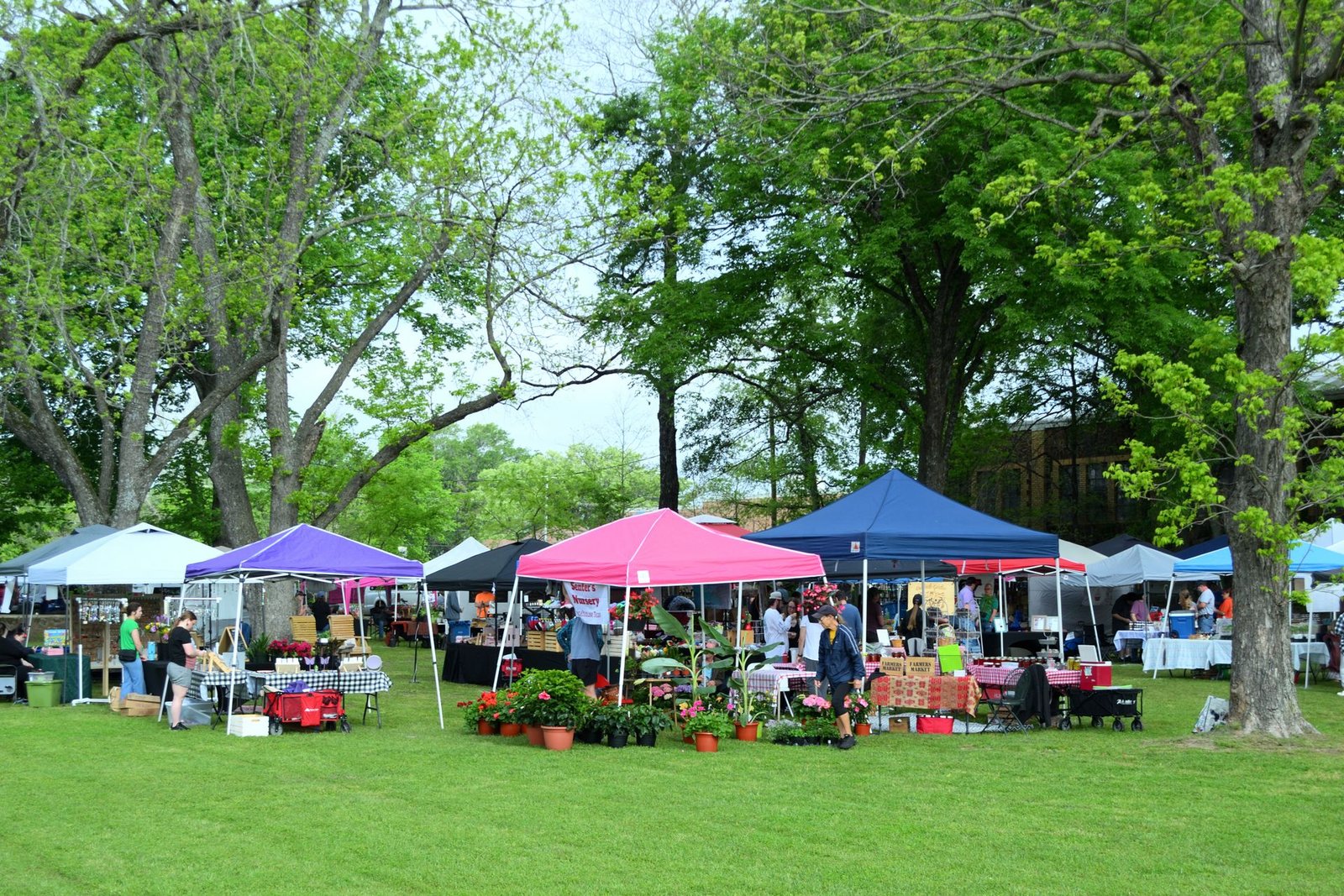 Check out the Maryville Arts & Crafts Festival