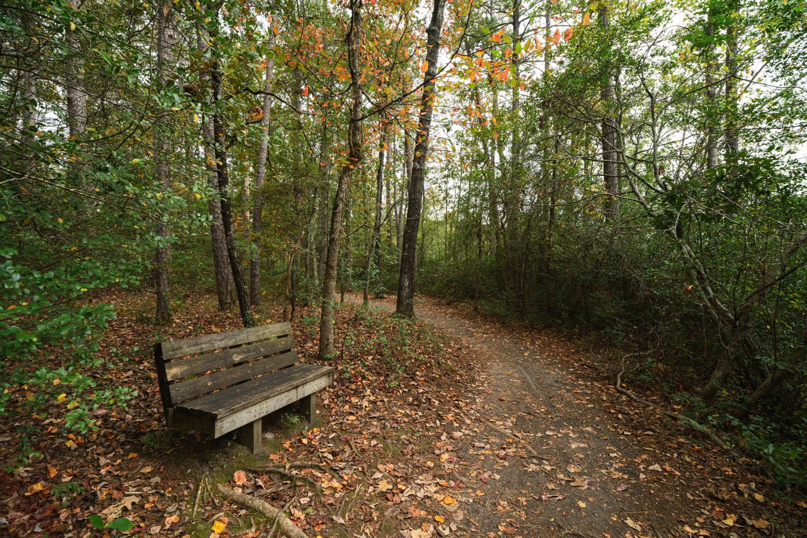 Visit Occoneechee Mountain State Natural Area for Hiking and Nature Walks