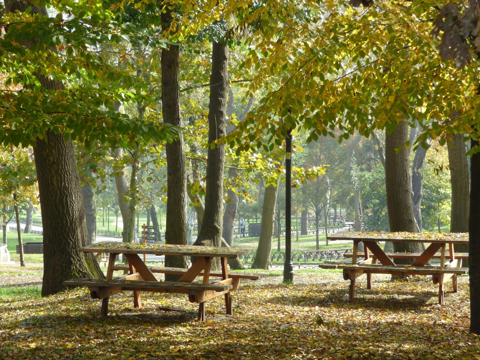 Relax at the Minami Ikebukuro Park