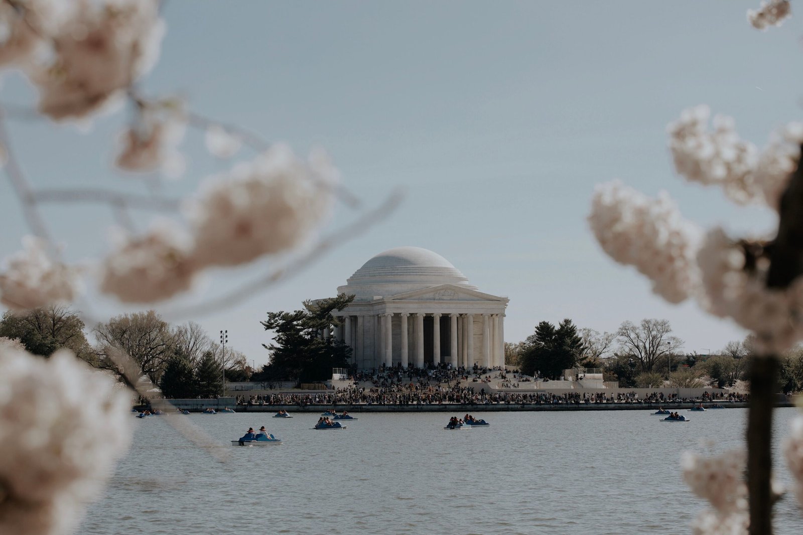 Take a Romantic Boat Ride on the Tidal Basin During Cherry Blossom Season
