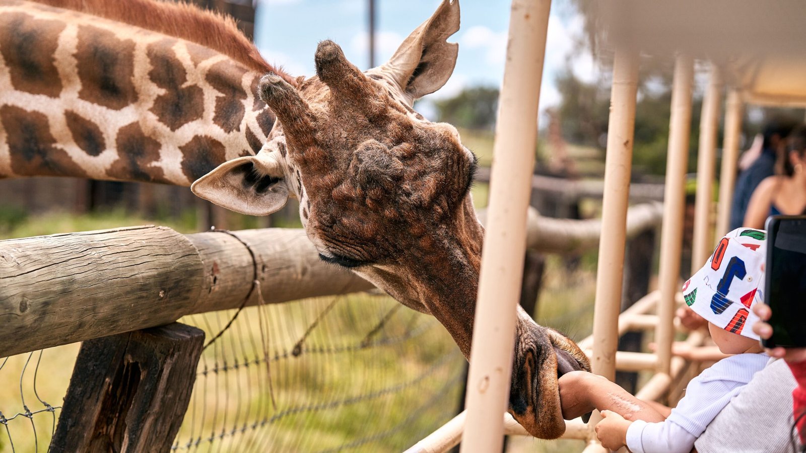 Visit the Santa Barbara Zoo for a Fun-Filled Animal Adventure