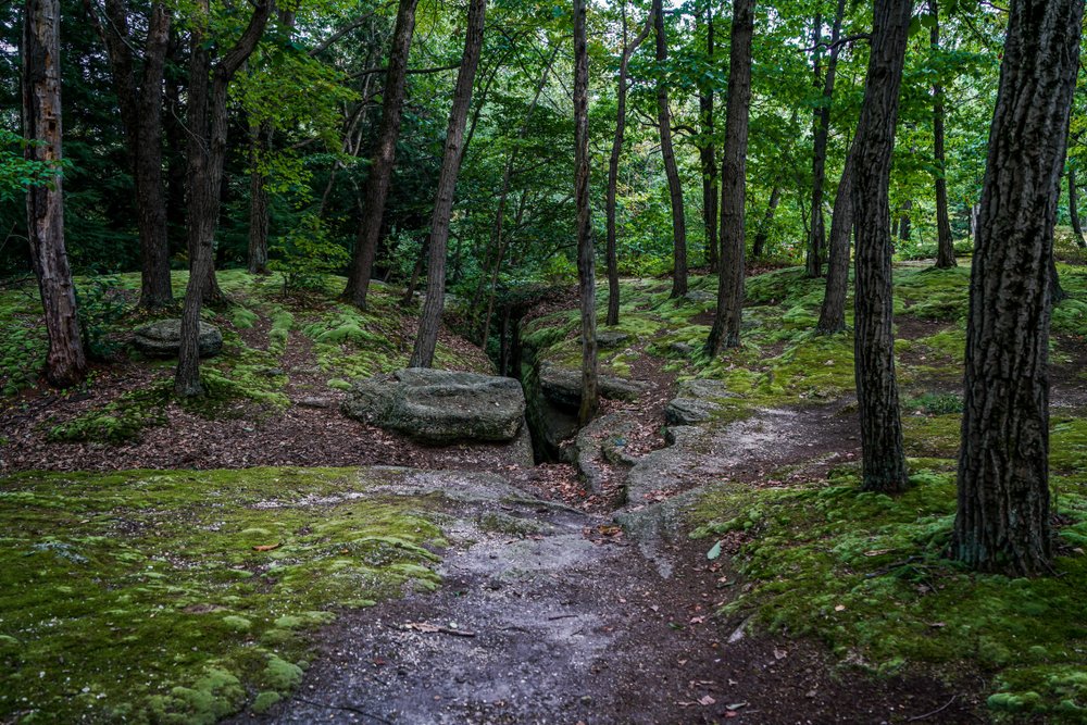 Take a stroll through the beautiful trails at Mill Creek MetroParks