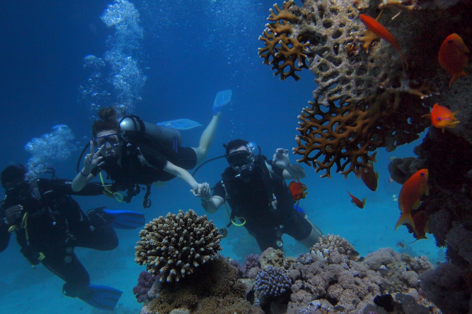 Explore the Coral Reefs and Marine Life on a Scuba Diving Trip Near the Coast of Saint-Anne