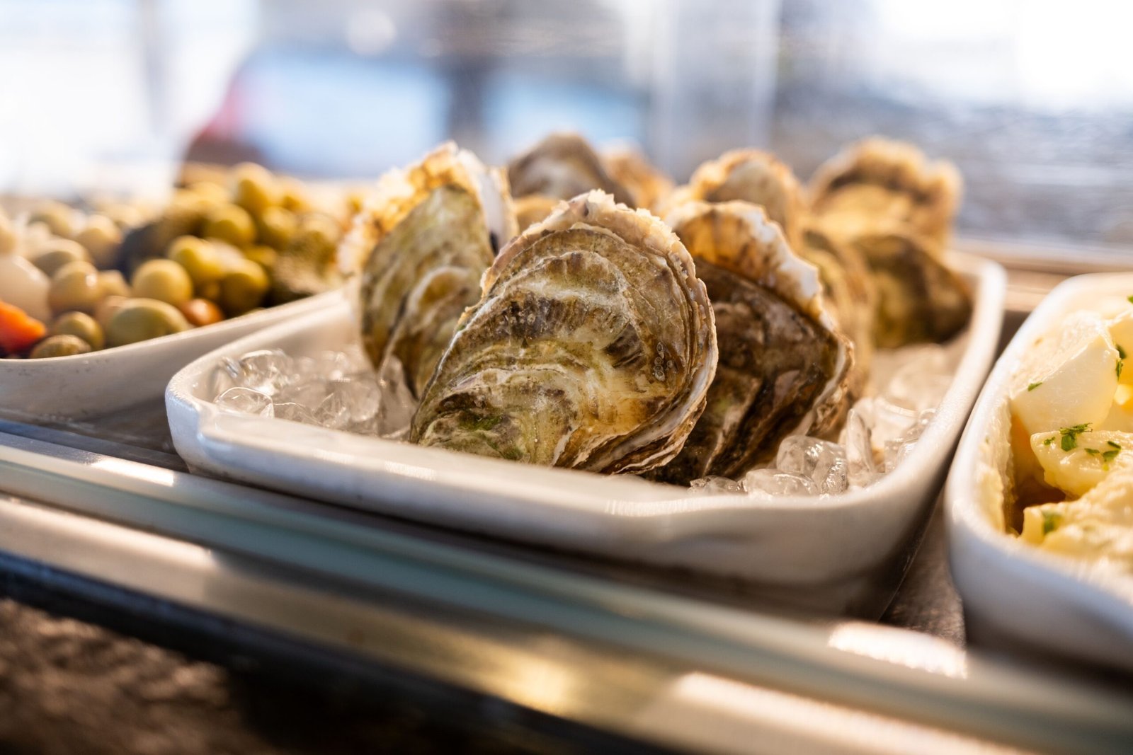 Enjoy Delicious Seafood at Gibraltar’s Waterfront Restaurants