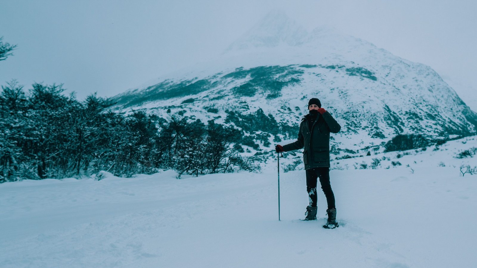 Take Part in a Guided Snowshoeing Expedition During Winter Months