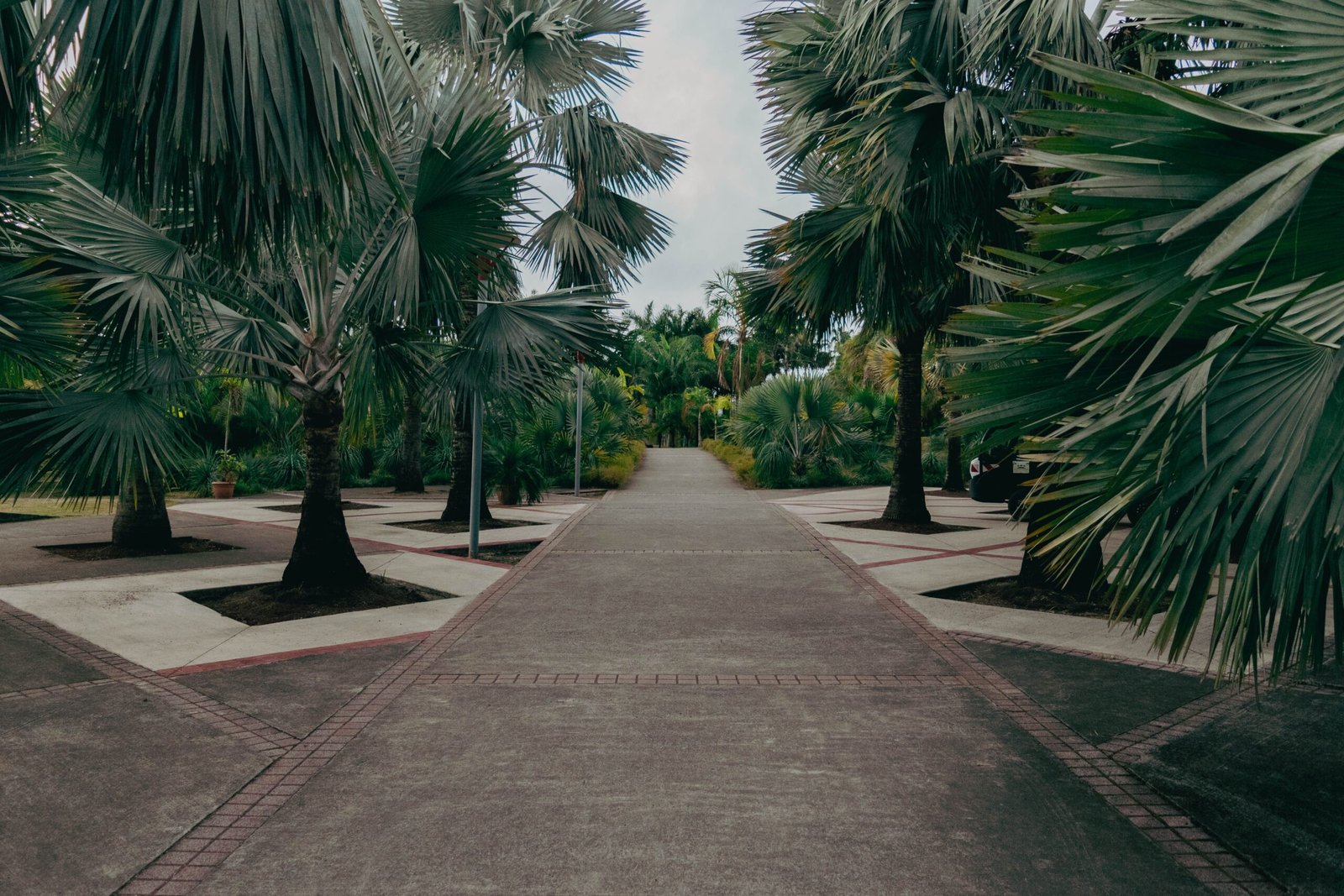Explore the beautiful Jardin des Plantes