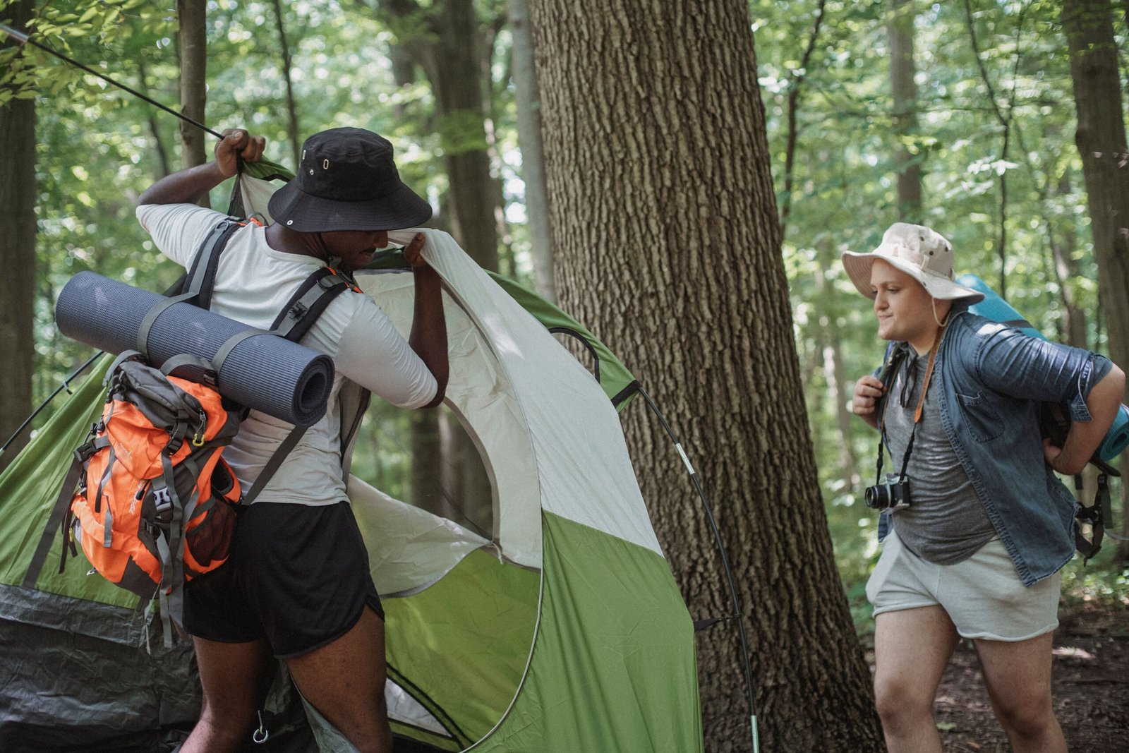 Take Part in Guided Camping Trips