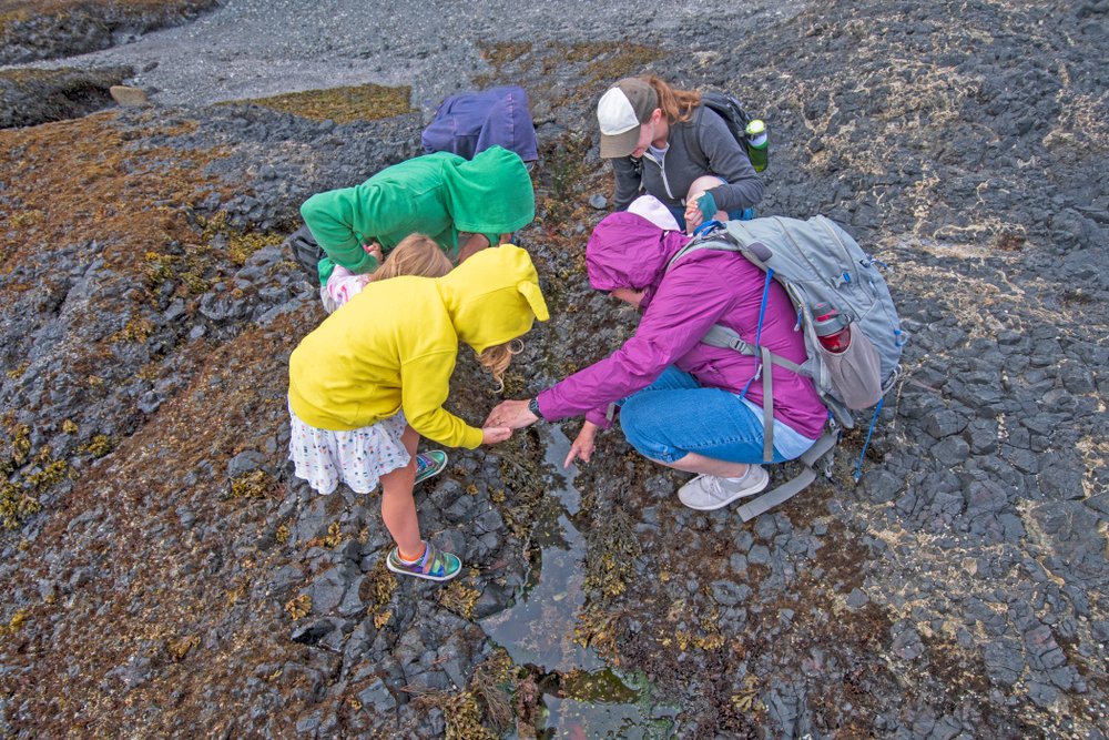 Explore the Tidepools at Depoe Bay State Park
