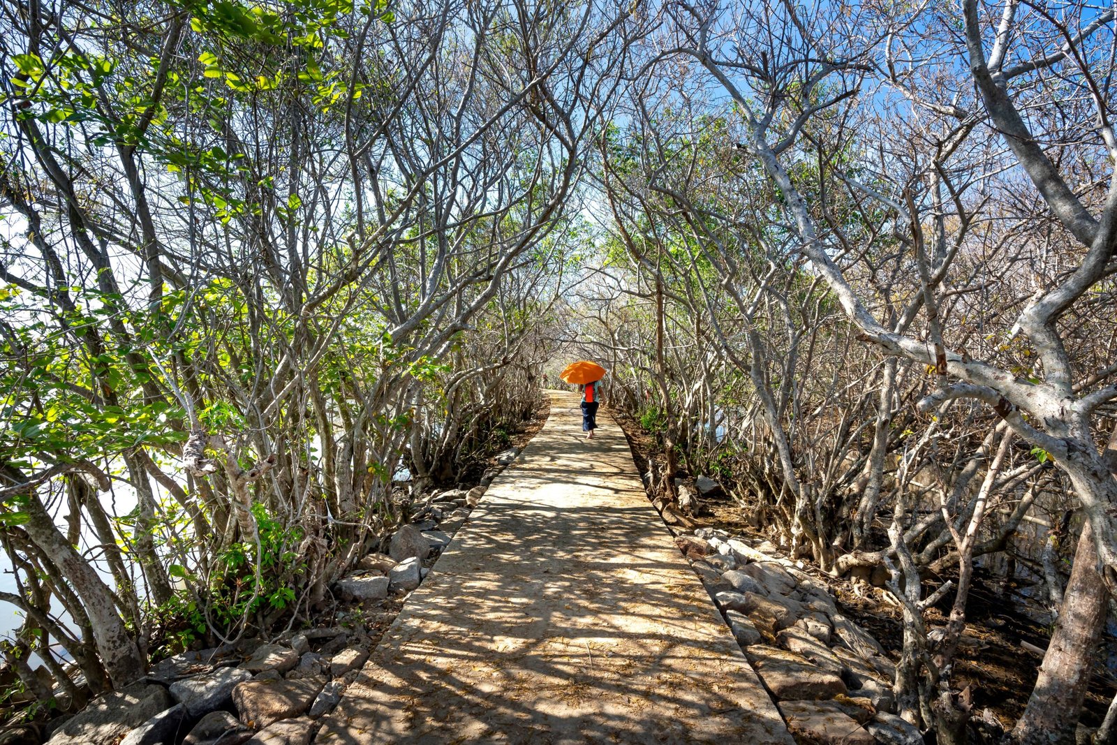 Visit the Homestead Metro Park for Hiking and Nature Walks