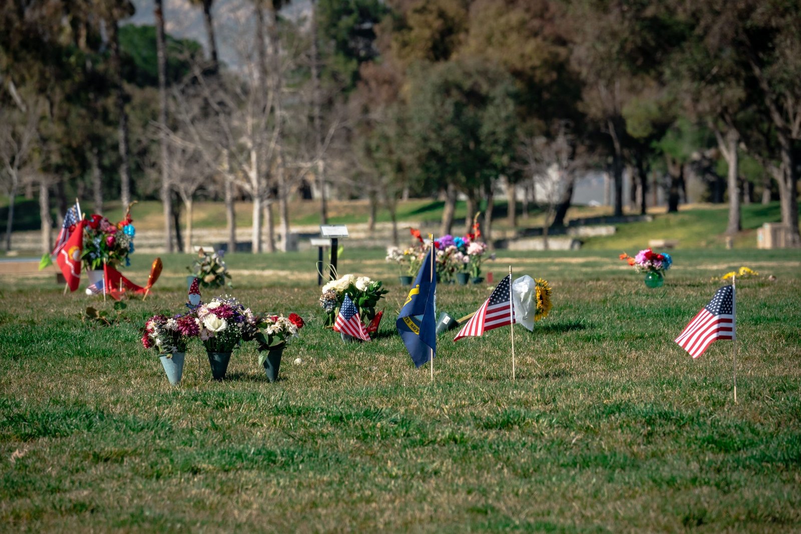 Visit Veterans Memorial Park