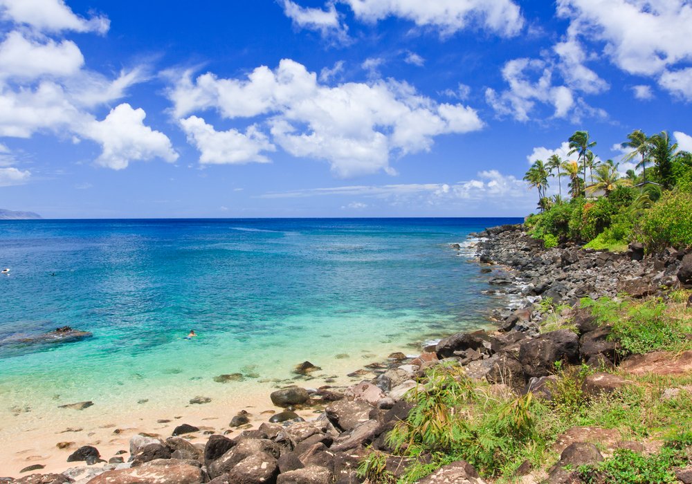 Visit Waimea Bay for Sunbathing and Swimming in Crystal-Clear Waters