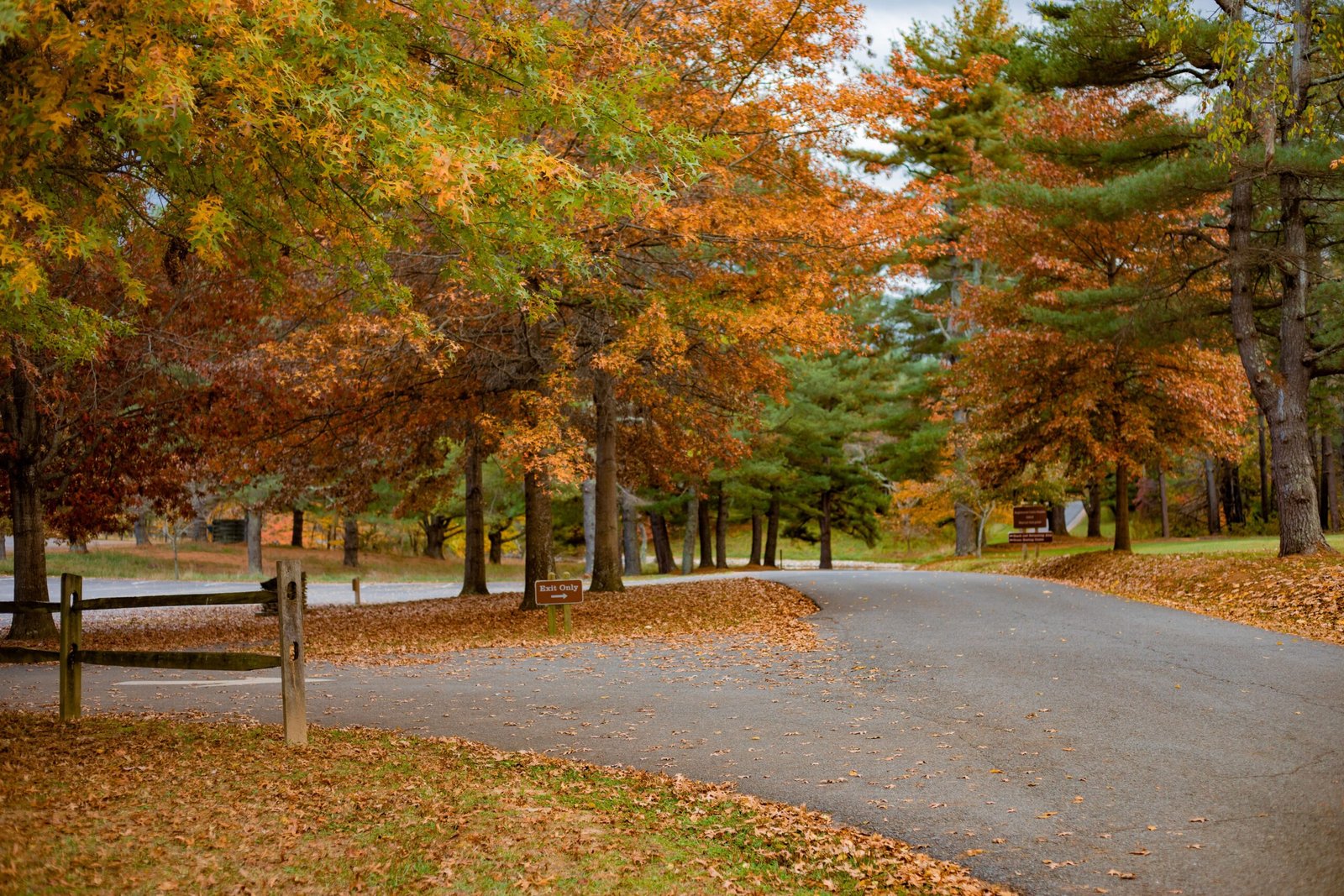 Visit the Bays Mountain Park & Planetarium