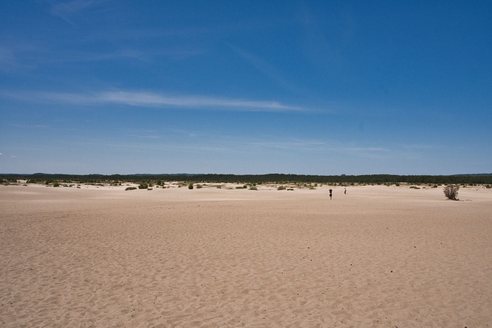 Go on a Desert Safari to Experience the Kuwait Desert Landscape