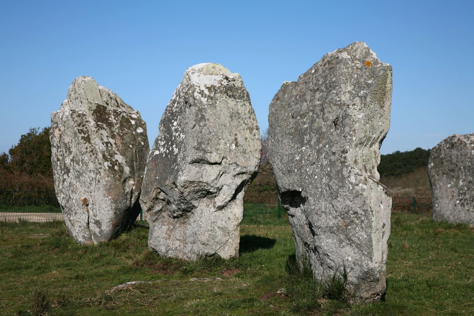 Visit the Great Circle Earthworks for Historical Insight and Exploration