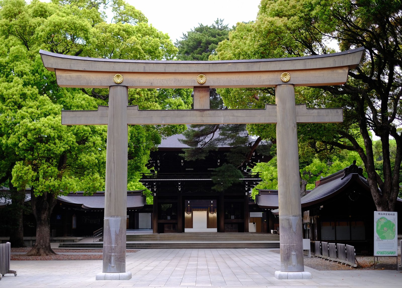 Visit the Meiji Shrine, a Peaceful Oasis in the City