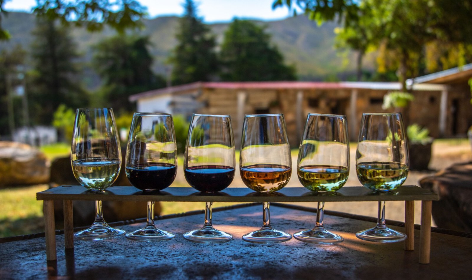 Visit the stunning vineyards of Bodega Catena Zapata for a wine tasting experience