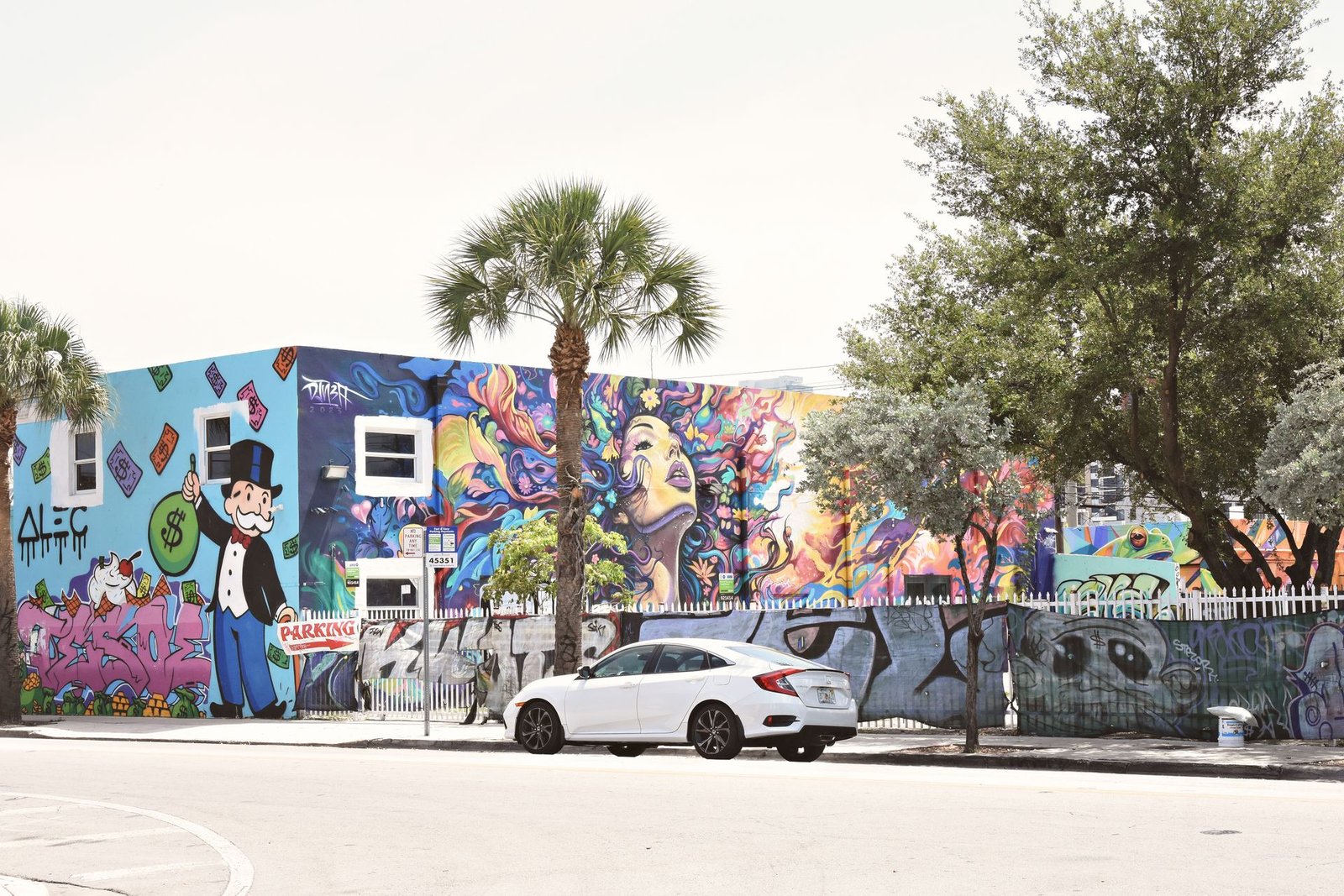 Visit the vibrant Wynwood Walls for stunning street art