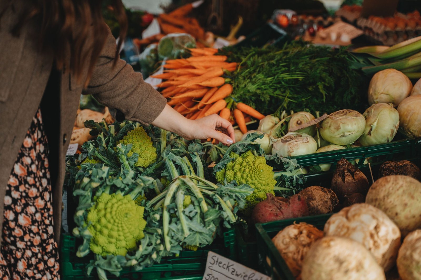 Visit the Watertown Farmers Market for Local Produce
