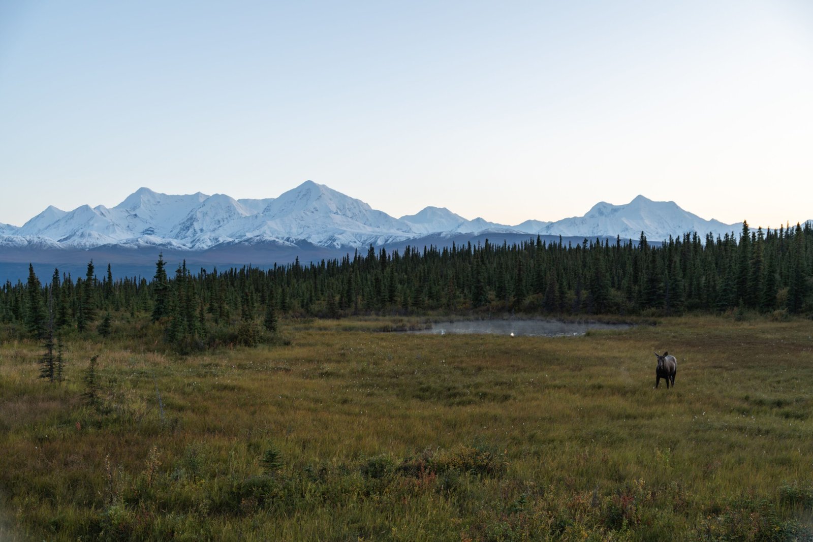 Enjoy Wildlife Viewing at the Alaska State Wildlife Refuge