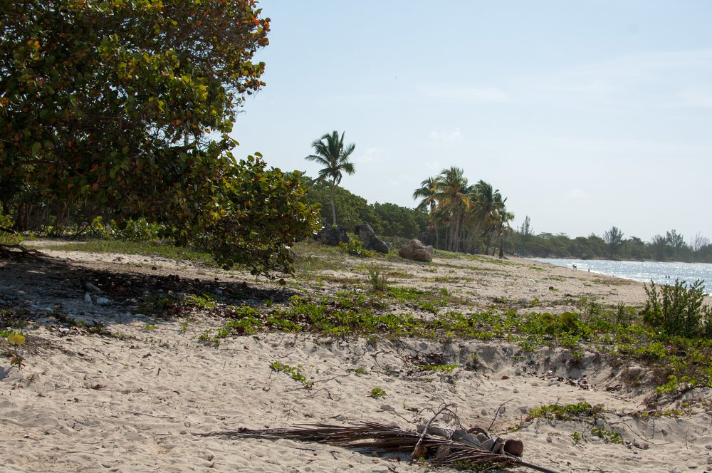 Take Part in a Historical Tour Through the Bay of Pigs