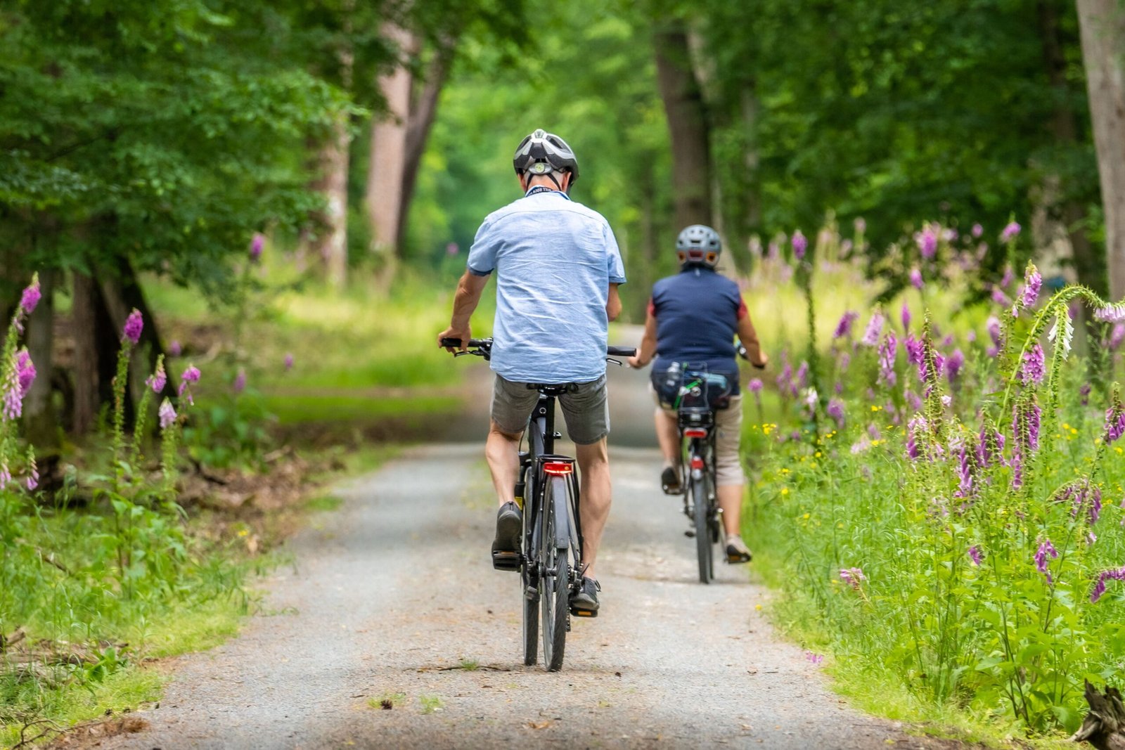 Enjoy Hiking or Biking at the Enchanted Forest Sanctuary