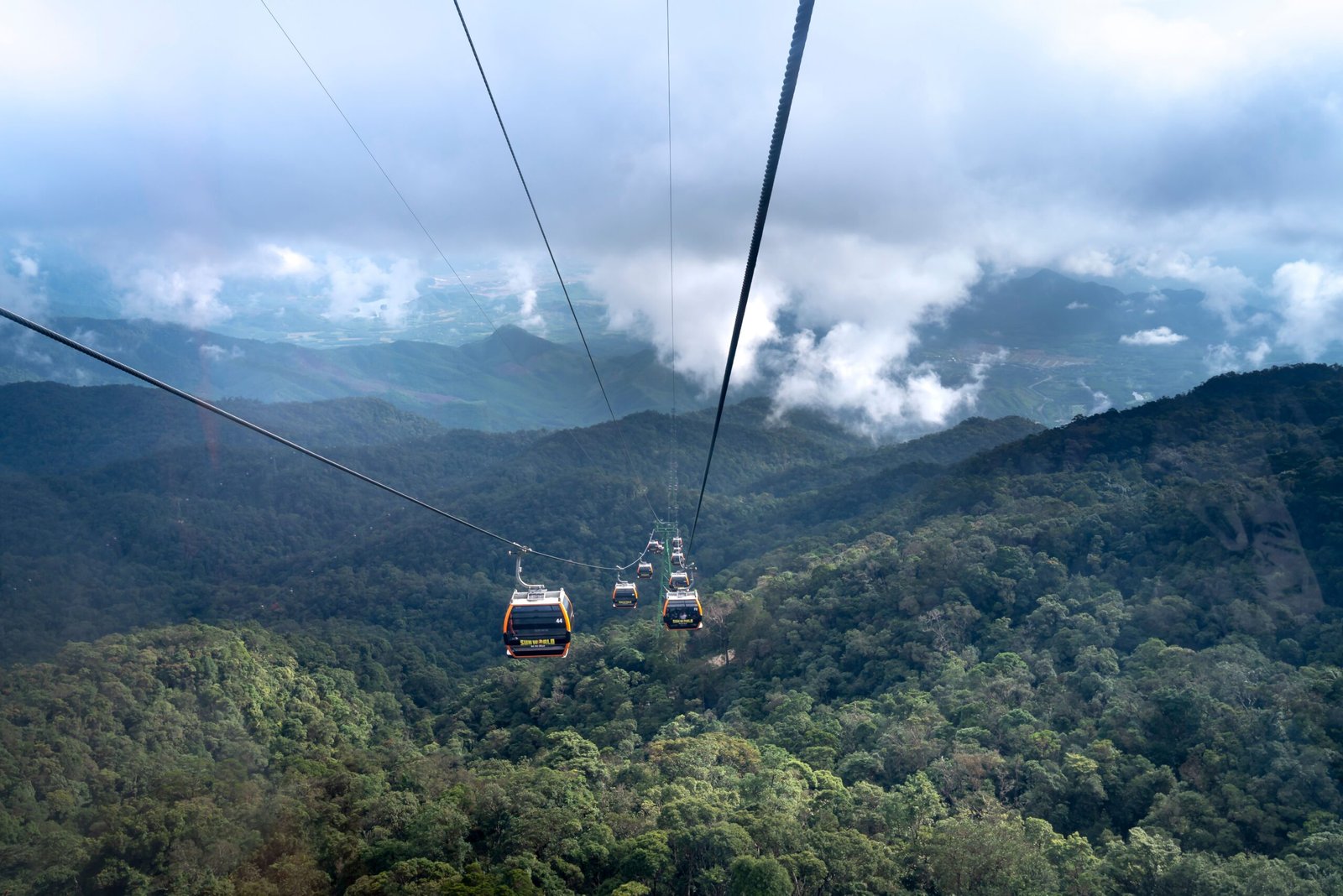 Take a scenic cable car ride to Monte for breathtaking views