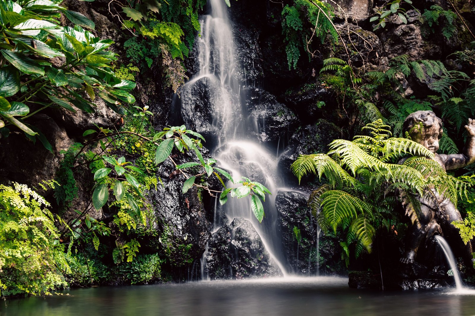 Stroll through the serene gardens of Monte Palace Tropical Garden