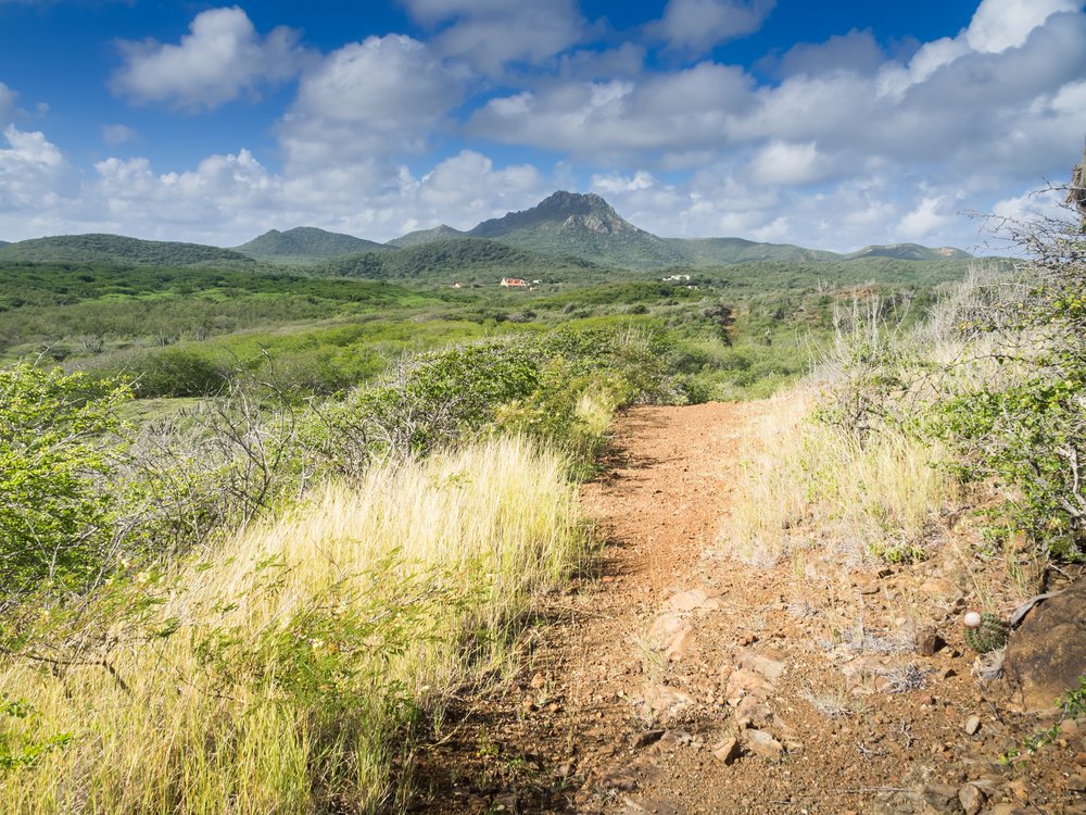 Explore the Trails at Pattison State Park